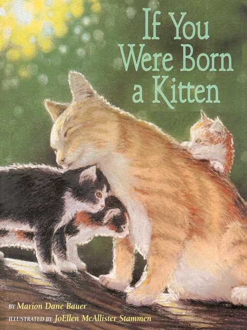 Title details for If You Were Born a Kitten by Marion  Dane Bauer - Wait list